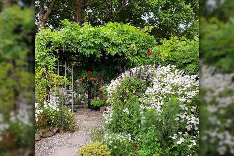 20b Wood Street Greytown_2