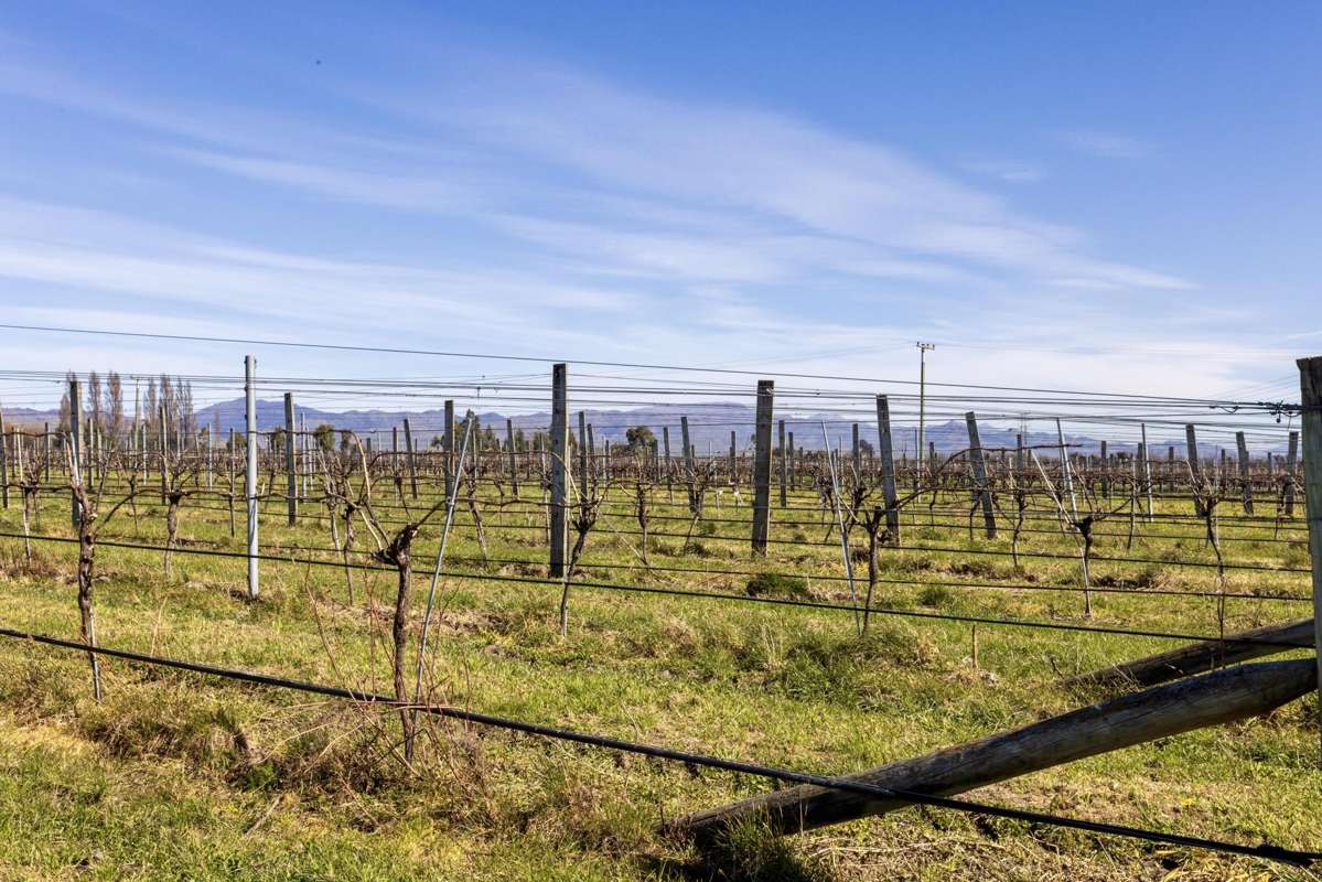 Mills and Ford Road East_2