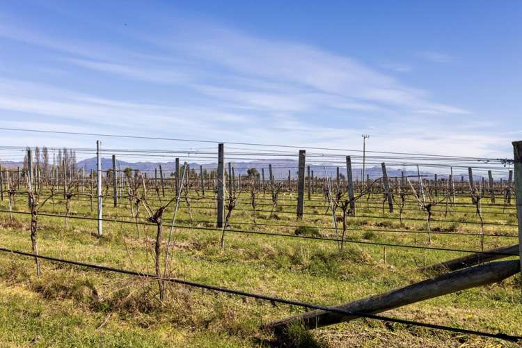 Mills and Ford Road East Grovetown_6