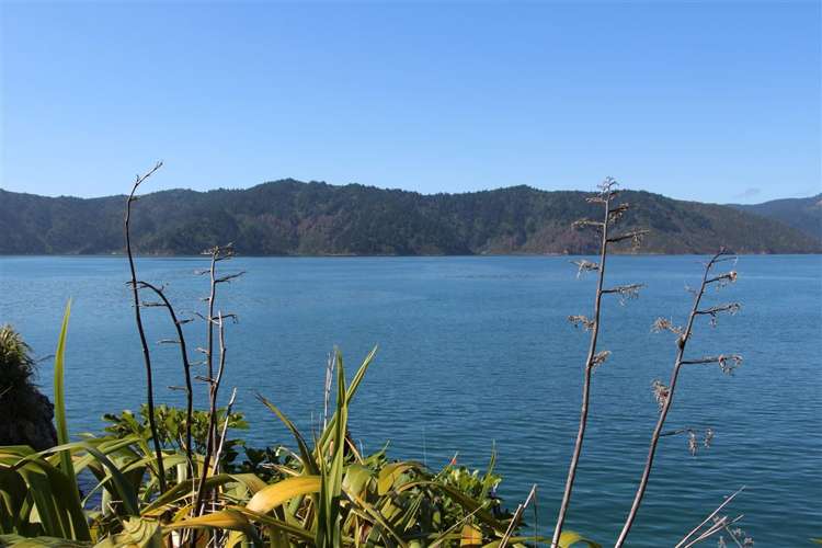 Bay Of Many Coves Marlborough_20