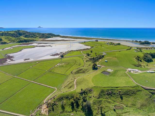 Bare Grazing Land with Epic Views