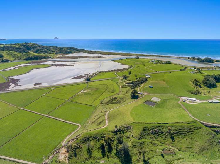 175 Parkinson Road Waiotahe_0