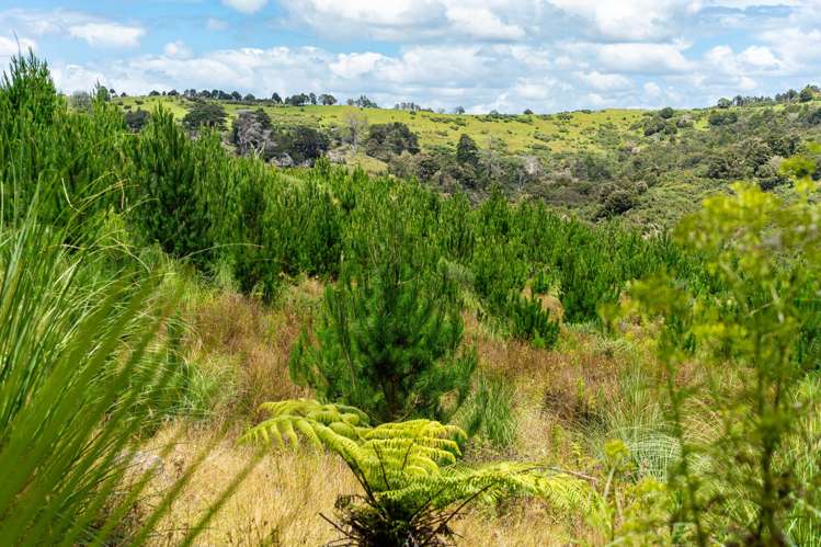 Lot/12 Arcadia Road Paparoa_17