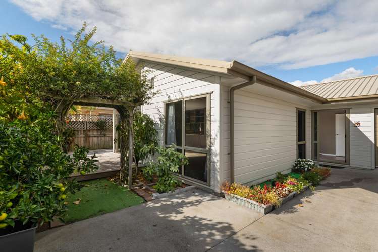 19B Jocelyn Street Katikati_10