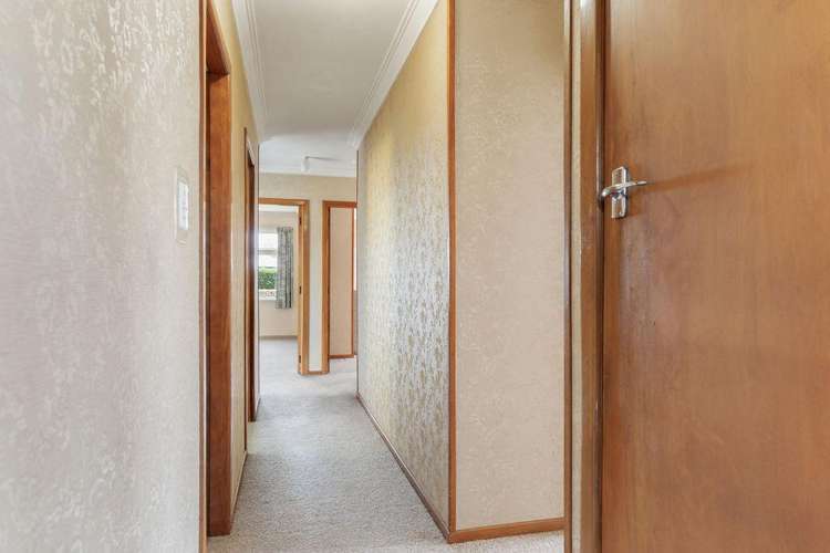 11 Strasbourge Street Martinborough_7