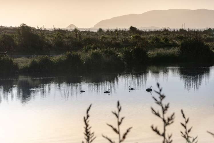 18 Major Durie Place Waikanae Beach_13