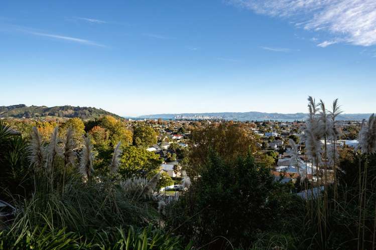 1 5/36 Sievwright Lane Whataupoko_19