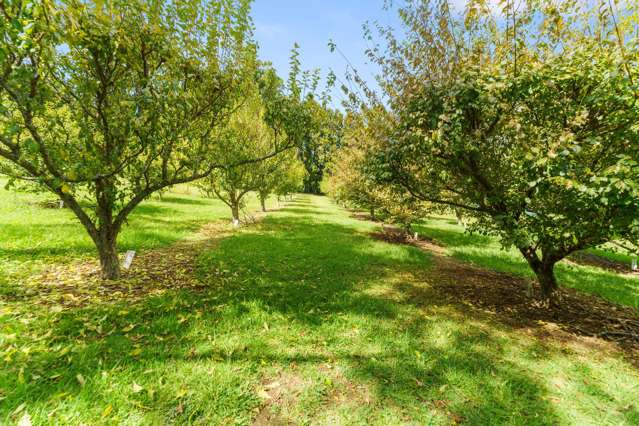 664 State Highway 2 Katikati_2
