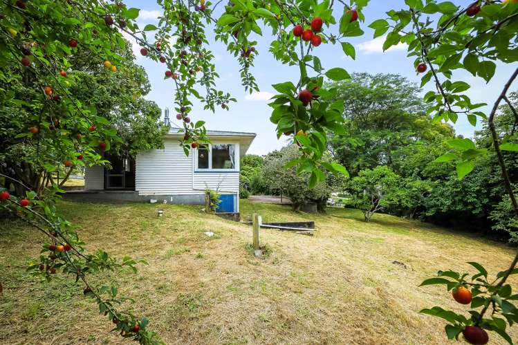 35 Totara Valley Road Thames-coromandel_14