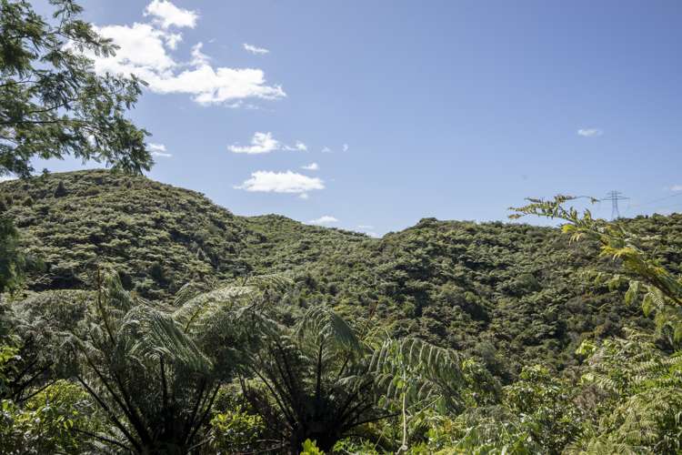 87b Kaitangata Crescent Kelson_9