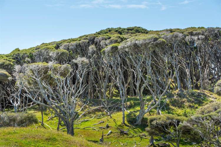 87, 95 and 97 Hudson Street Collingwood_9