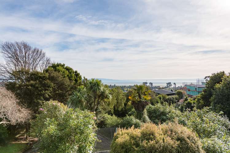 10 Tamaki Street Tahunanui_15