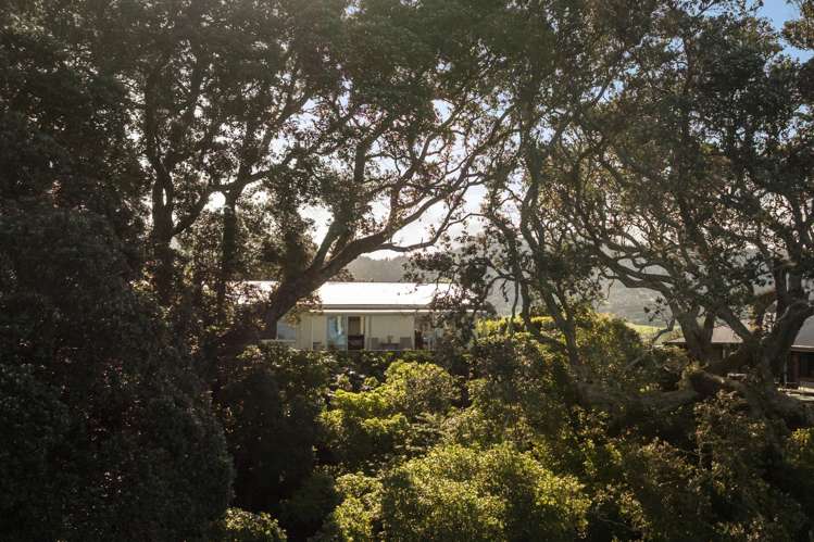 20 Moana Drive Tanners Point_26