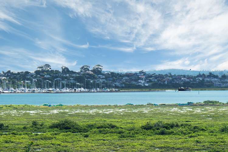 27 Dawnhaven Drive Te Atatu Peninsula_10