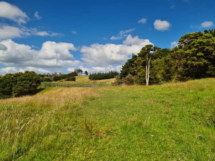 304 Arapaoa Road Tinopai_9