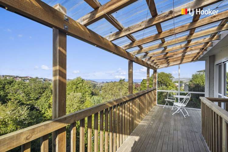 95 Dunrobin Street Waverley_8