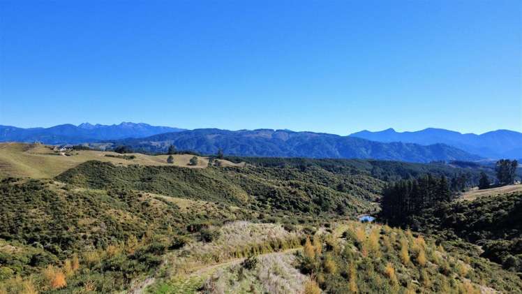 854A Neudorf Road Upper Moutere_4