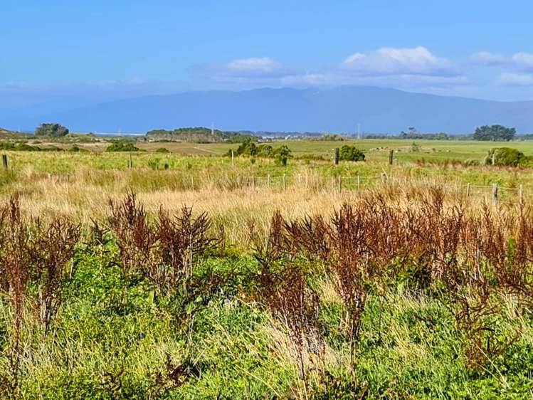 2/1088 Wilsons Lead Road Cape Foulwind_5