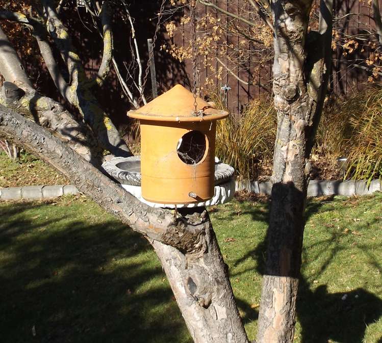 339 Port Hills Road Hillsborough_10