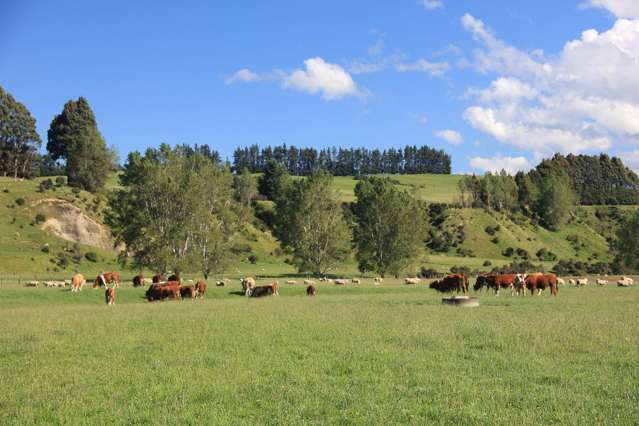 133 Dale Road Te Anau_4