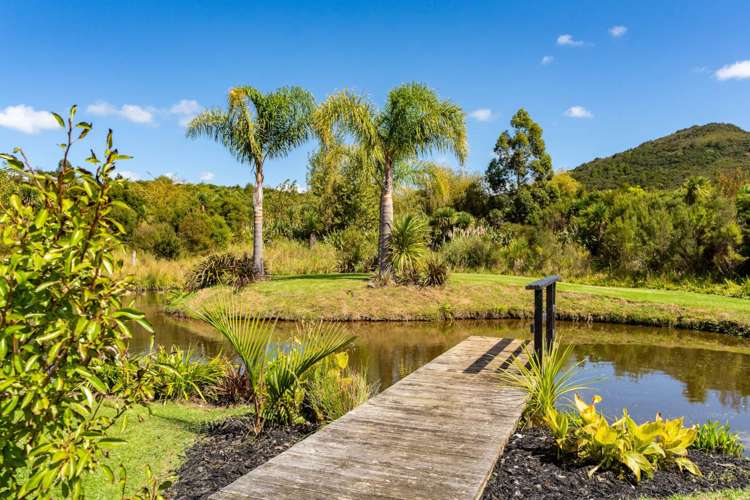 23 Birdsong Lane Mangawhai_9