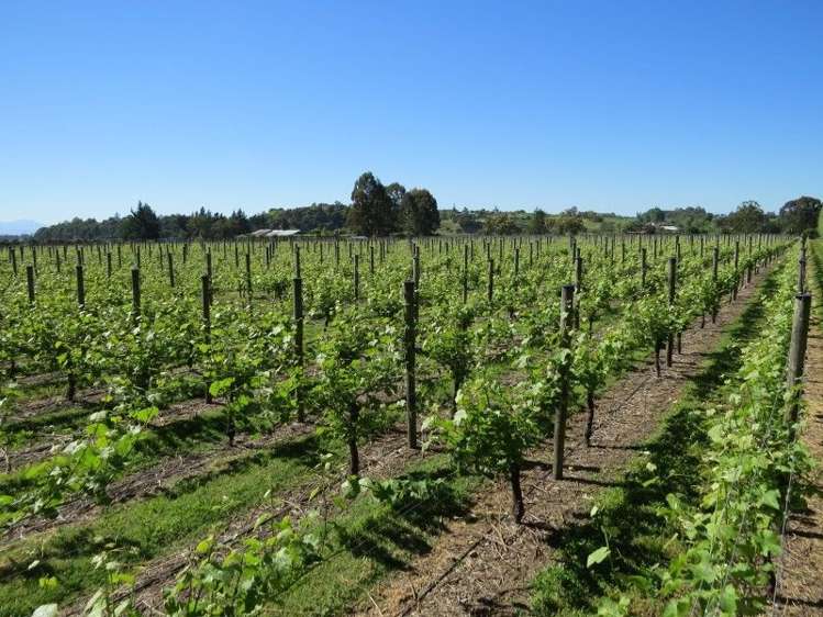 46 Batchelor Ford Road Motueka_14