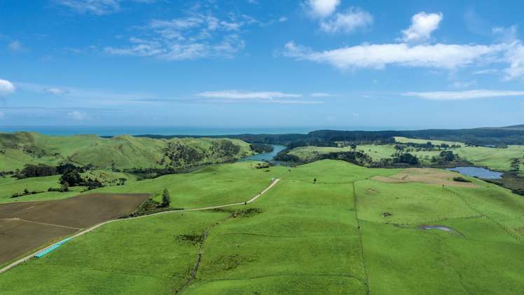 146 Fuller Road South Head_5