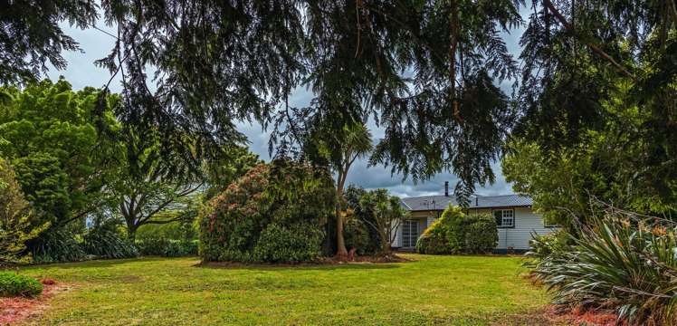 81127 State Highway 2 Pahiatua_17