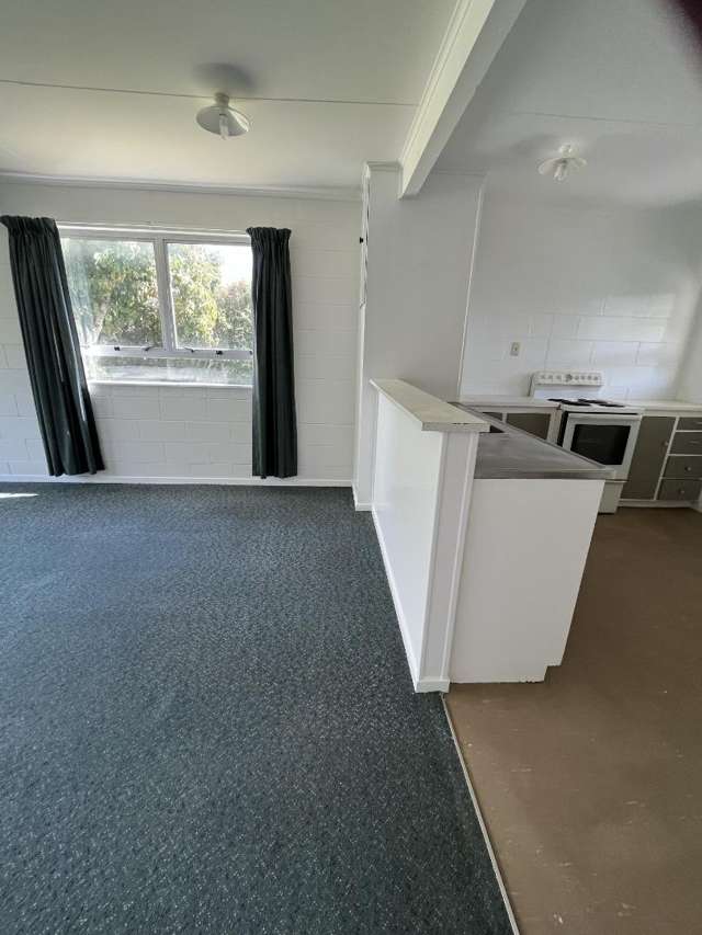 1/113 Tuwharetoa Street 11210_4