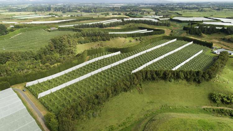 471b Old Coach Road Paengaroa_2