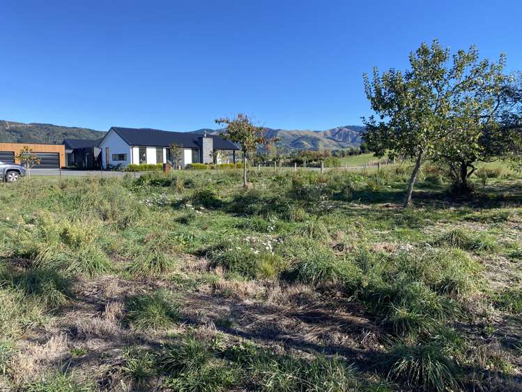 4 Cranfield Place Waimate_6