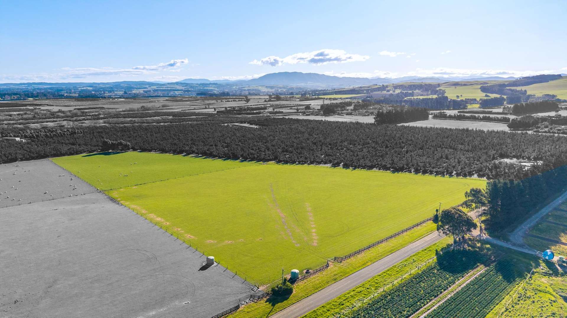 156 Webbs Road Amberley_0