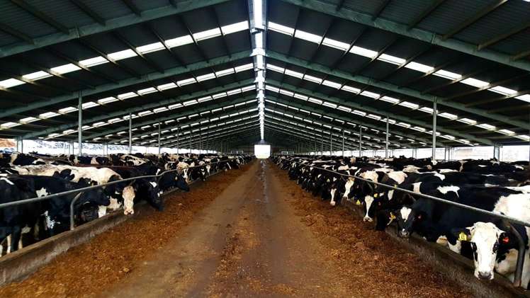 1599 Hundred Line Road East Winton_14