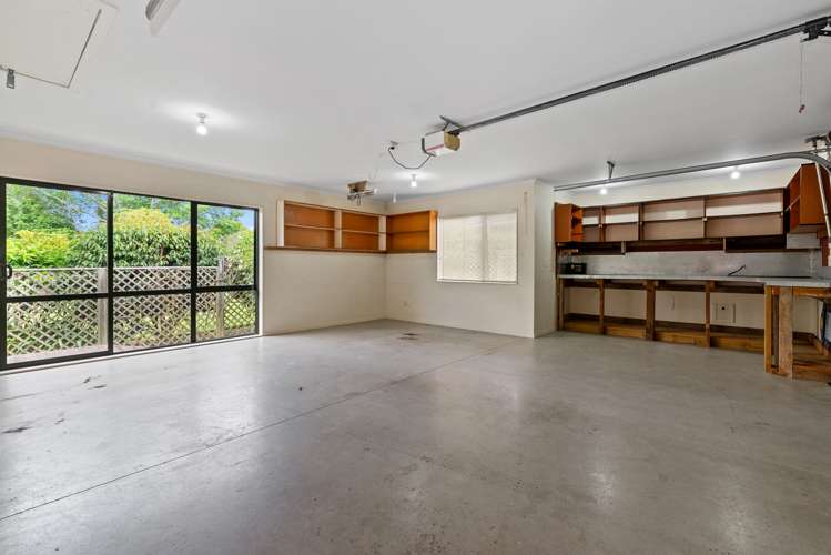 12a Willmott Place Springfield_14