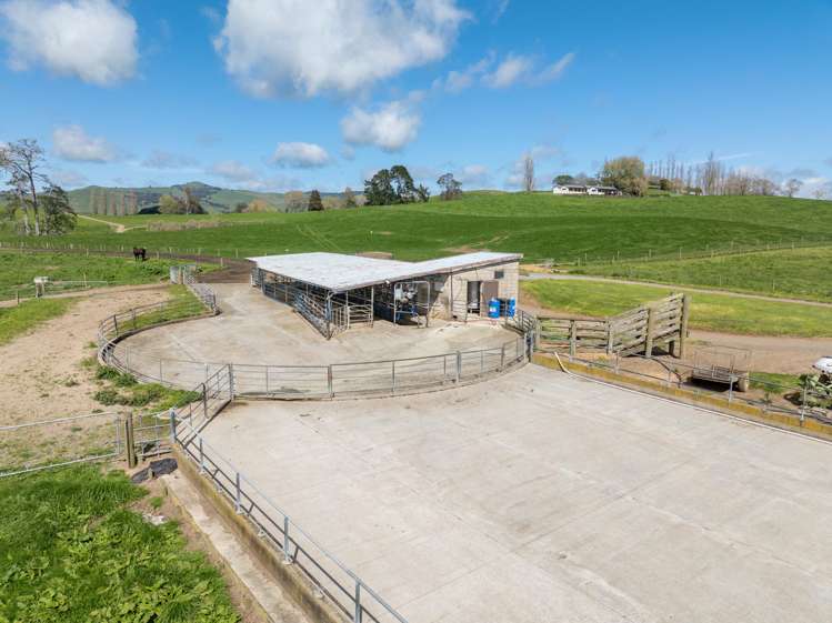 17 Chepmell Road Morrinsville_4