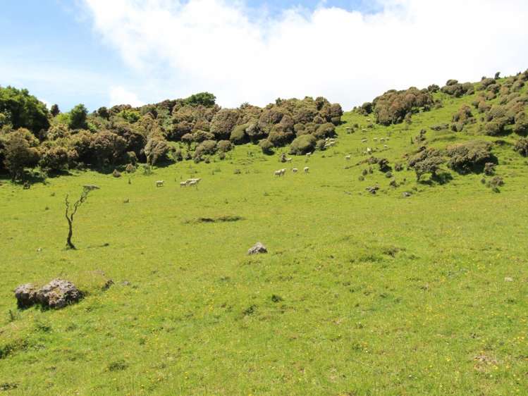 934 Coonoor Road Pahiatua_10