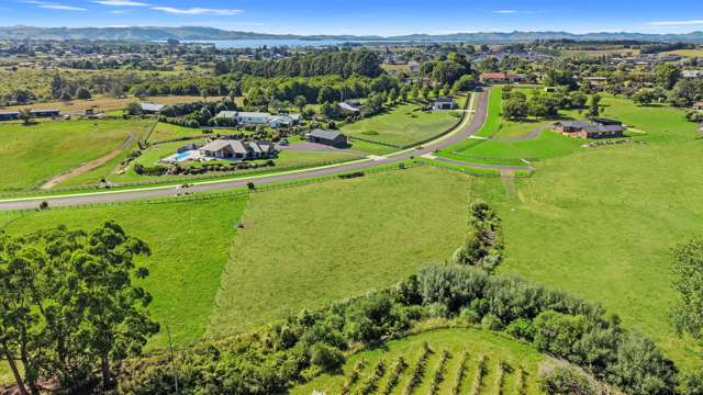 48 Moorfield Road Te Kauwhata_4
