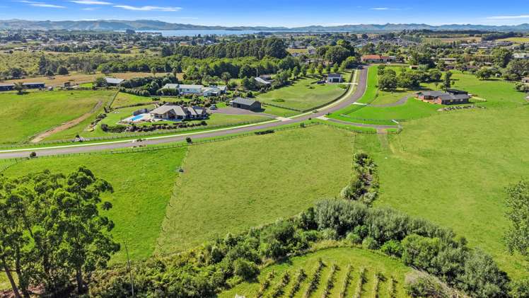 48 Moorfield Road Te Kauwhata_4