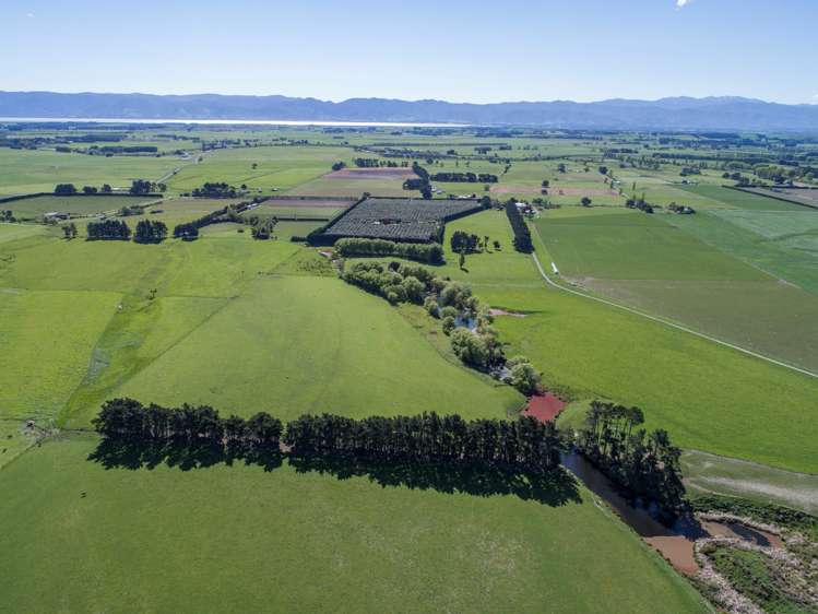 749 Lake Ferry Road Dyerville_16