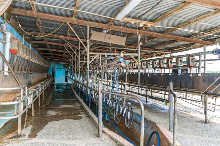 178 Furniss Road Ruawaro_10