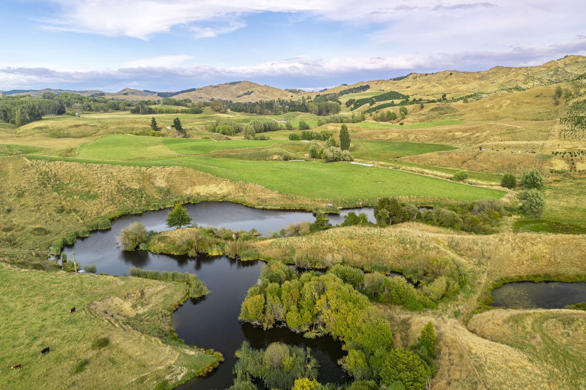 2594 Kahuranaki Road Elsthorpe_0