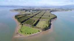 Waterfront orchard an opportunity for investors