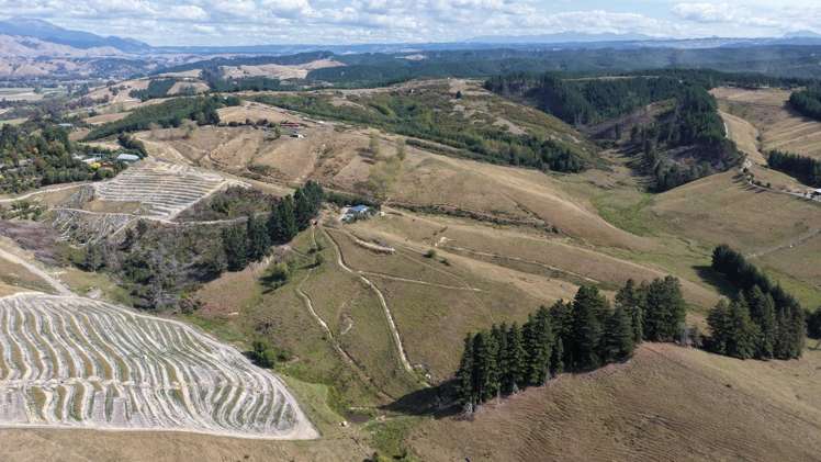 78 Teapot Valley Road Brightwater_7