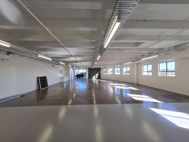 14 Akepiro Street Mt Eden_4