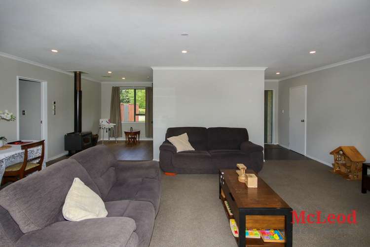 109 South Town Belt Rakaia_11