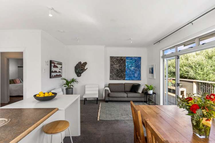 27 Castle Street Grey Lynn_5