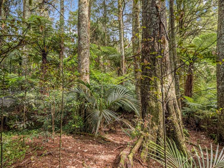 1733 Ararimu Road Hunua_25