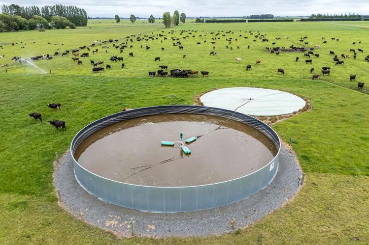 94 Brogdens Road Lowcliffe_9