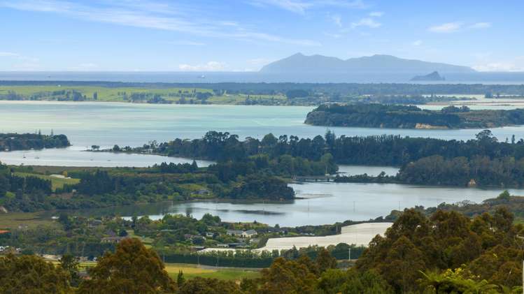 15 Pheasant Lane Wairoa_9