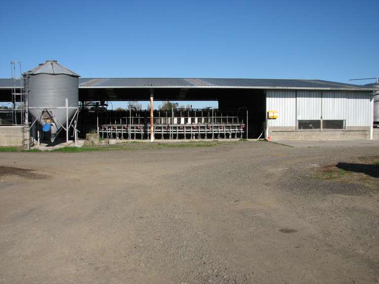 240 Bayly Road South Waikato_5